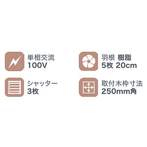 フィルター付き一般用換気扇（20cm）